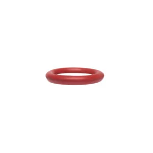 (N 150 2) Air Valve O-Ring